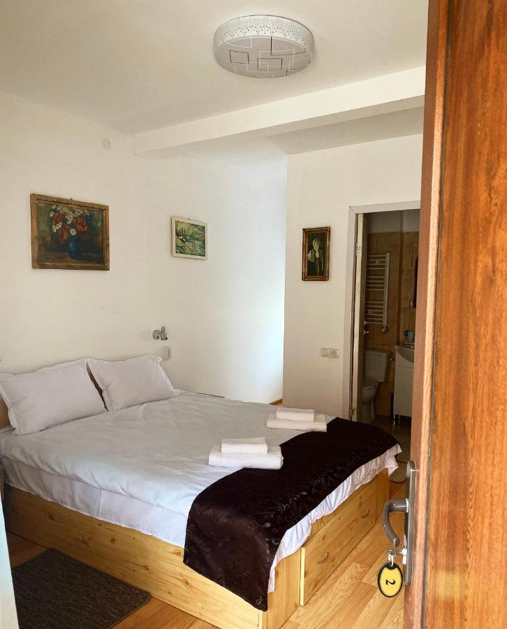 Ullysses Guest House 布拉索夫 外观 照片